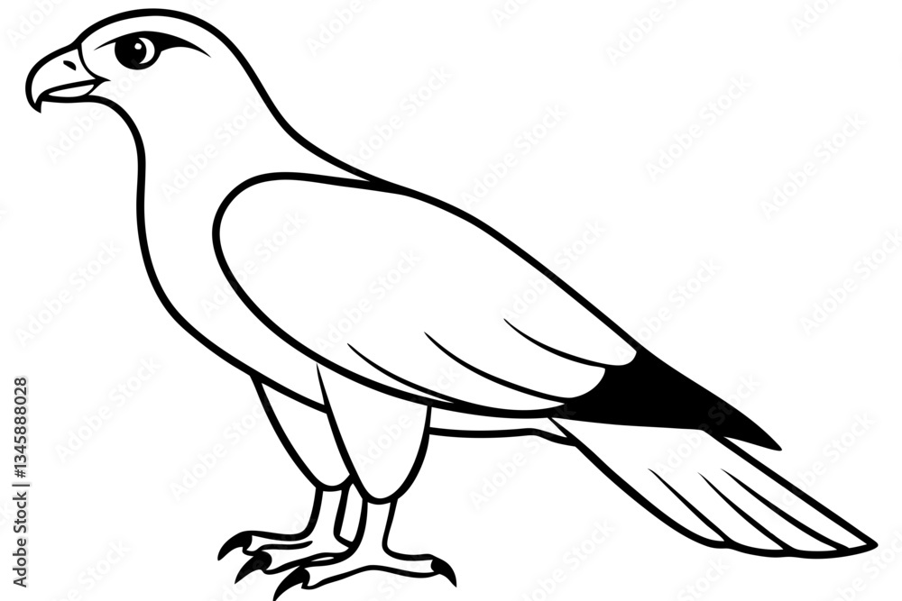 Fototapeta premium harrier line art silhouette vector illustration