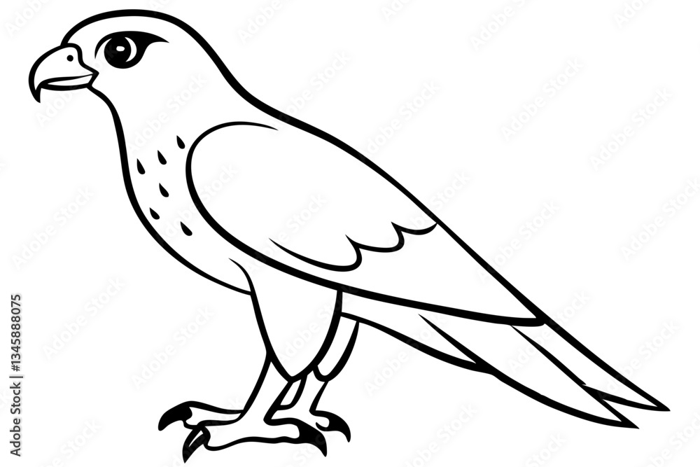 Fototapeta premium hawk line art silhouette vector illustration