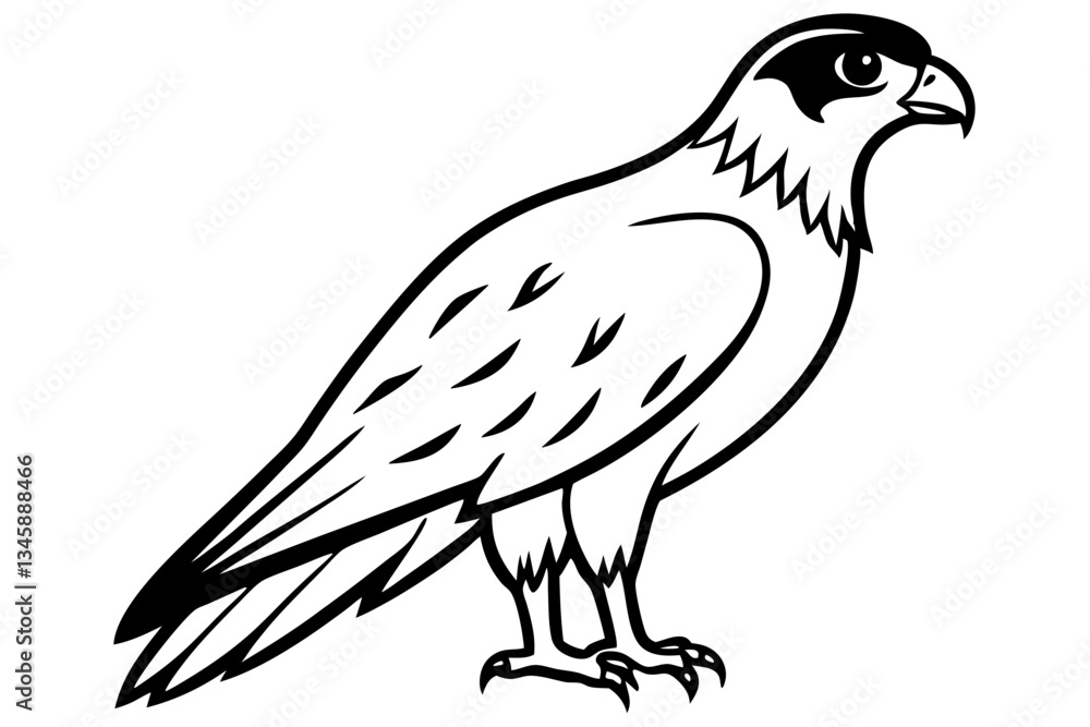 Fototapeta premium hawk line art silhouette vector illustration