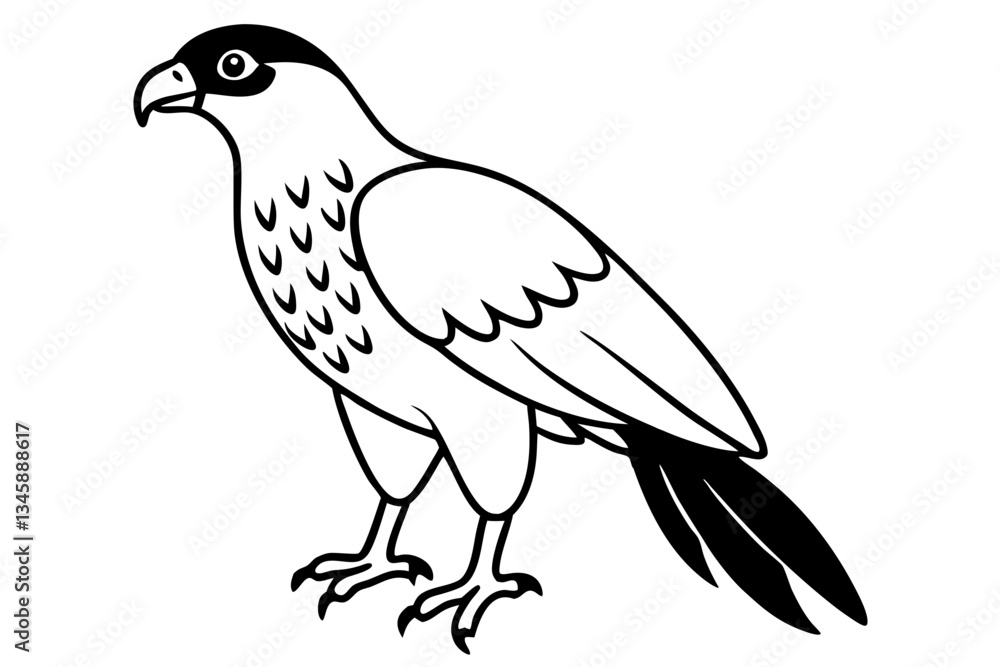 Obraz premium hawk line art silhouette vector illustration