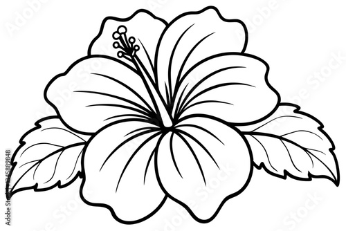 hibiscus line art silhouette vector illustration