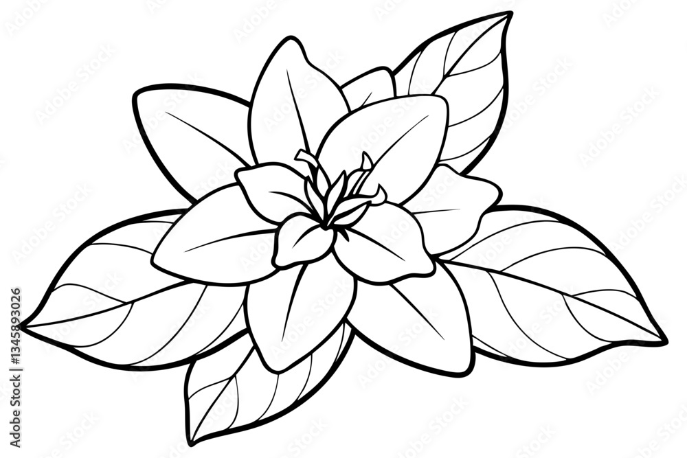Fototapeta premium jasmine flower line art silhouette vector illustration