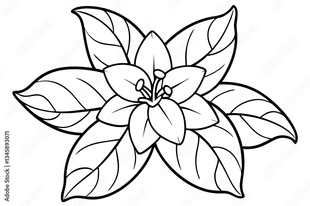 Fototapeta premium jasmine flower line art silhouette vector illustration