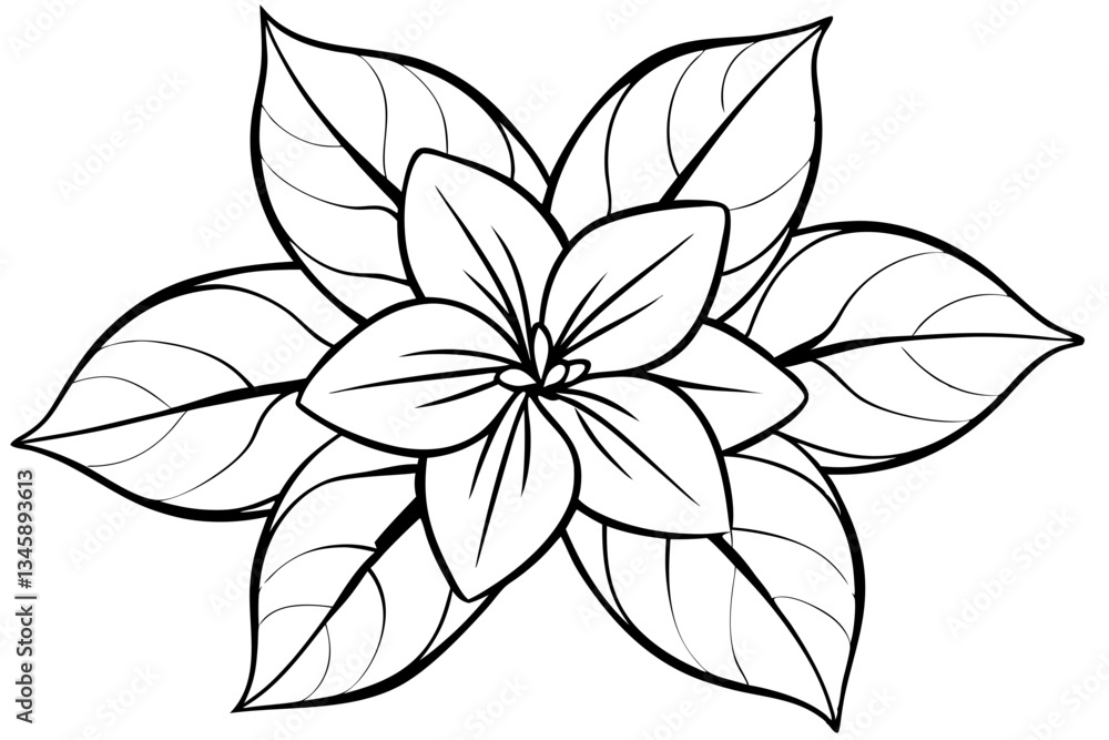 Fototapeta premium jasmine flower line art silhouette vector illustration