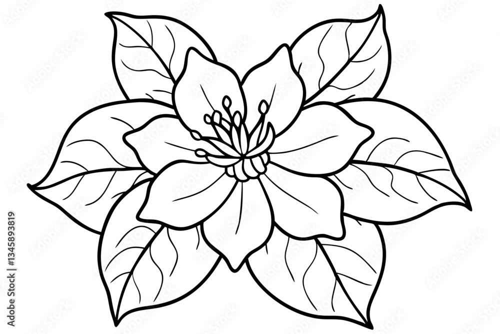 Fototapeta premium jasmine flower line art silhouette vector illustration