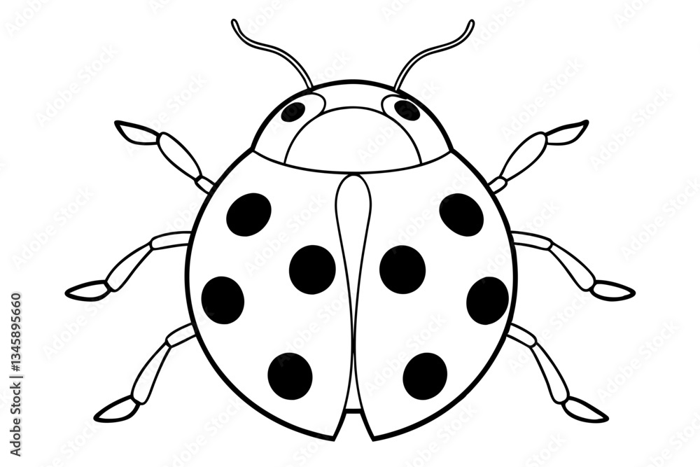 ladybird insect line art silhouette vector illustration ladybird insect line art silhouette vector illustration