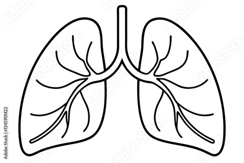 lungs line art silhouette vector illustration