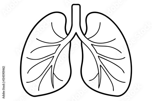 lungs line art silhouette vector illustration