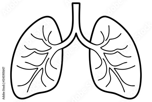 lungs line art silhouette vector illustration