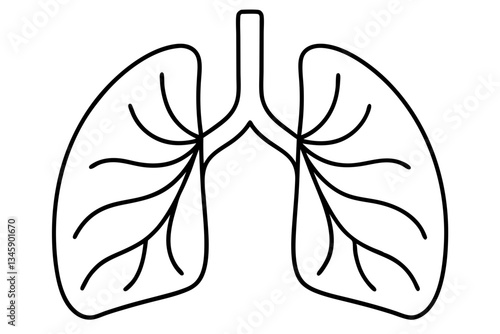 lungs line art silhouette vector illustration