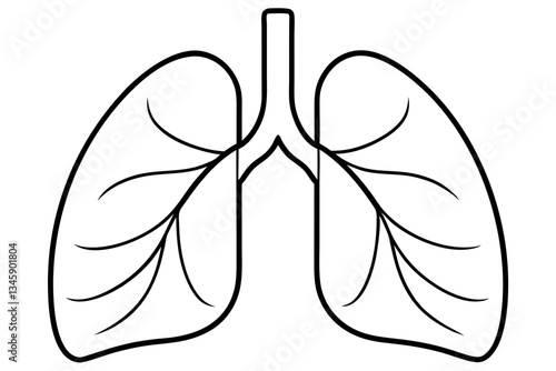 lungs line art silhouette vector illustration