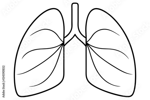lungs line art silhouette vector illustration