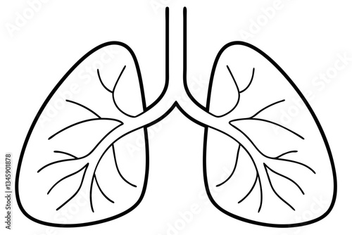 lungs line art silhouette vector illustration
