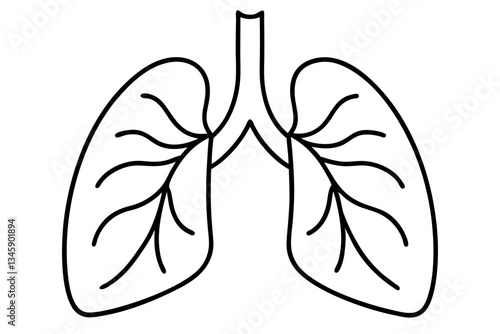lungs line art silhouette vector illustration