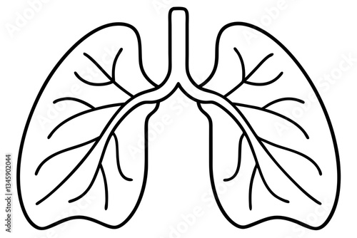 lungs line art silhouette vector illustration