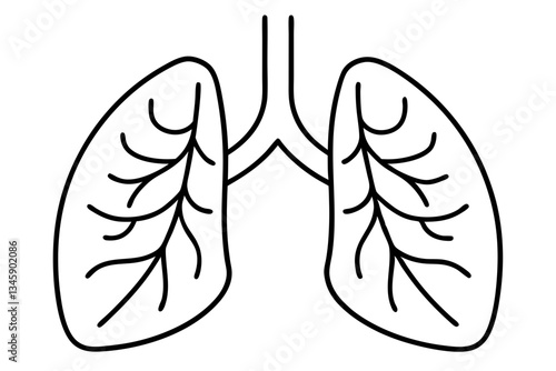lungs line art silhouette vector illustration