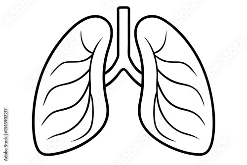 lungs line art silhouette vector illustration