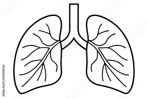 lungs line art silhouette vector illustration