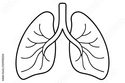 lungs line art silhouette vector illustration