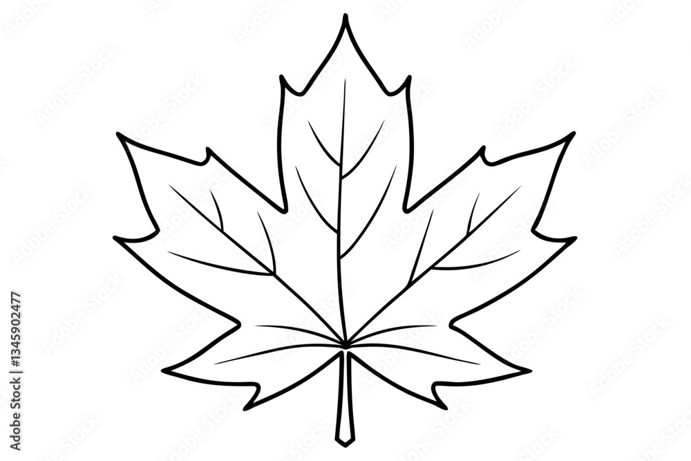 Obraz premium maple leaf line art silhouette vector illustration