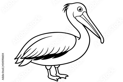 pelican line art silhouette vector illustration