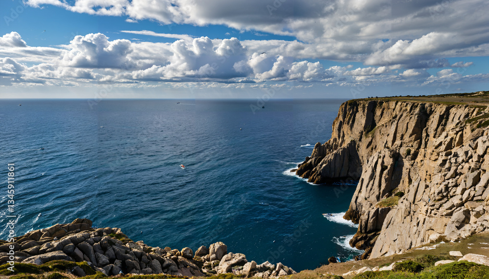Fototapeta premium Les falaises majestueuses de la côte rocheuse