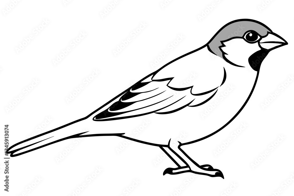 Obraz premium sparrow line art silhouette vector illustration