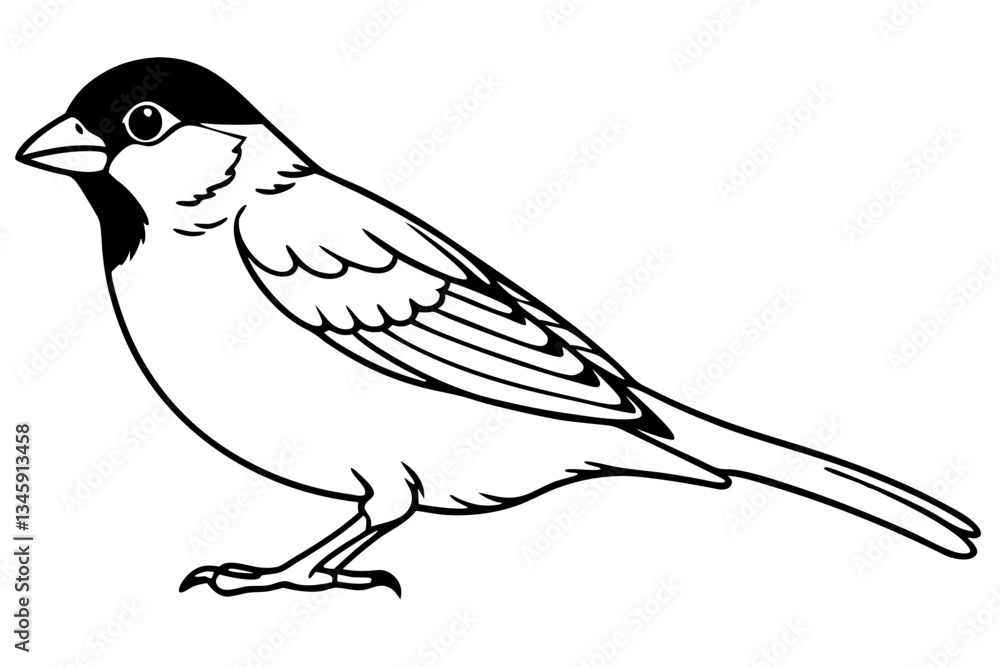 Obraz premium sparrow line art silhouette vector illustration