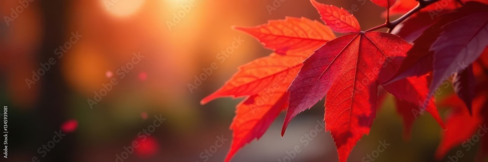 Intense red leaf bokeh, vibrant autumnal hues, impressionistic , nature, red abstract Intense red leaf bokeh, vibrant autumnal hues, impressionistic , nature, red abstract