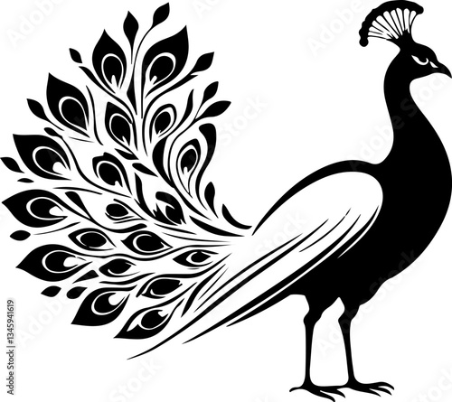 peacock vector illustration