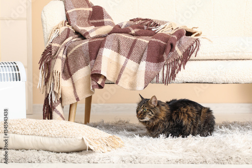 Cute cat lying on carpet in...