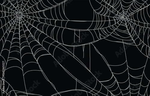 Spooky Halloween Spider Web Frame with Transparent Background
