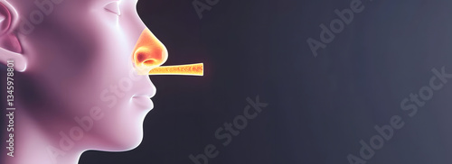 Wallpaper Mural Respiratory Disease from Sinusitis Chronic. 3D illustration of nasal anatomy and airflow visualization. Torontodigital.ca