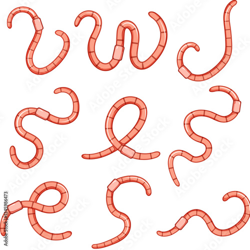 worm set cartoon vector illustration