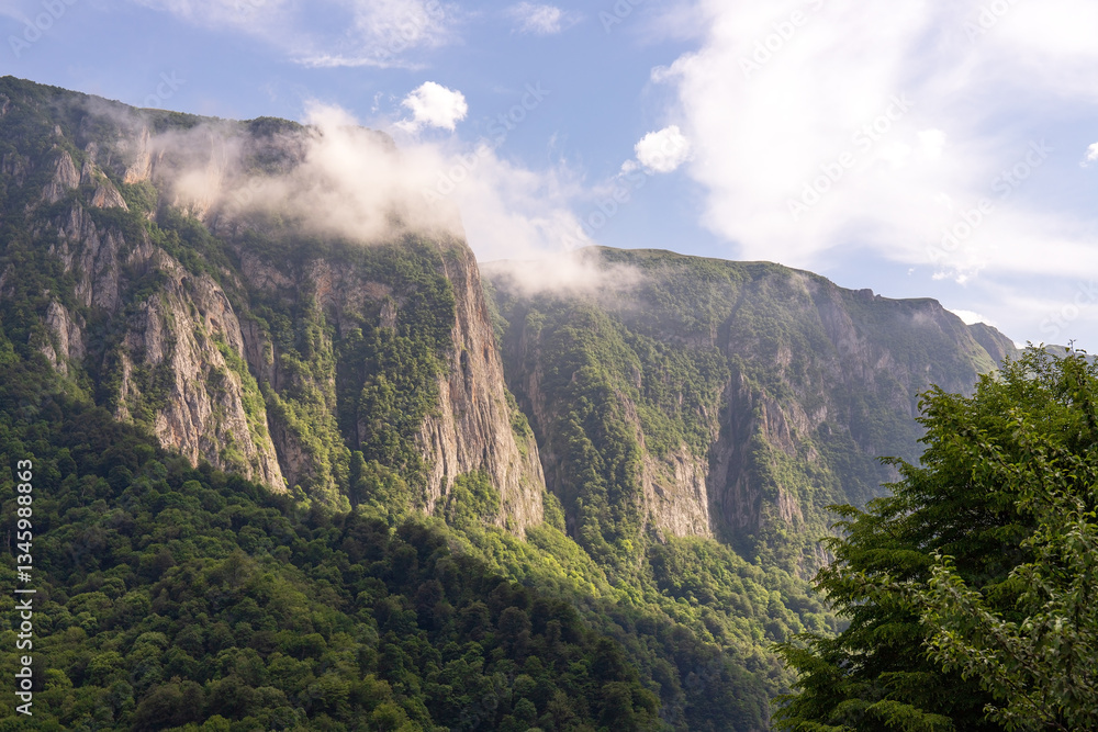 Fototapeta premium Green trees on beautiful rocks high in the mountains.