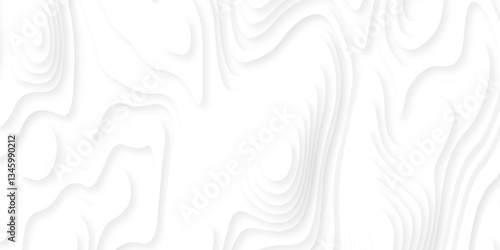 Abstract white paper cut background with lines. Background of the topographic map. White wave paper curved reliefs abstract background. Realistic papercut decoration textured with wavy layers.