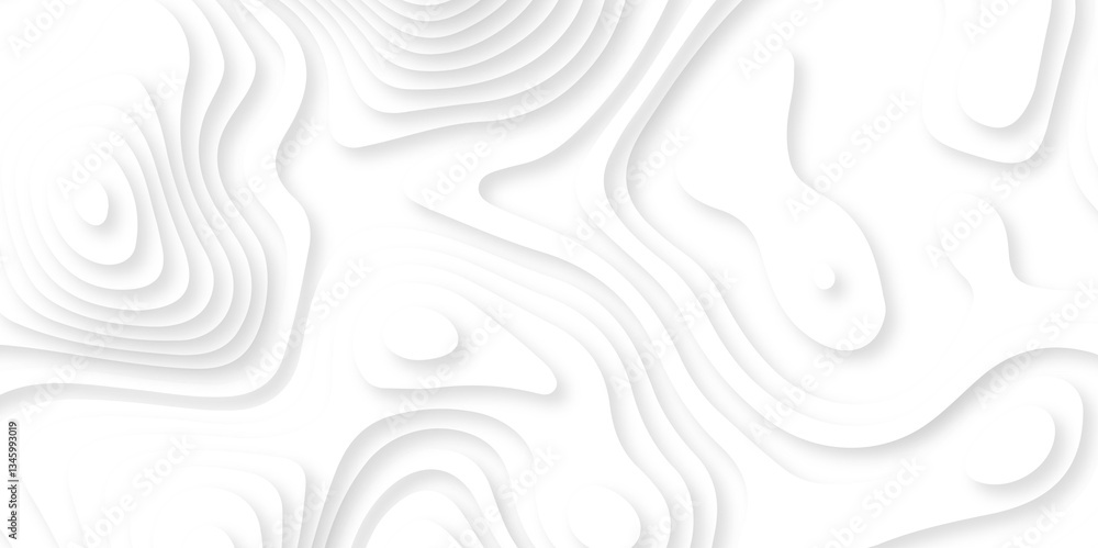 Abstract white paper cut background with lines. Background of the topographic map. White wave paper curved reliefs abstract background. Realistic papercut decoration textured with wavy layers. Abstract white paper cut background with lines. Background of the topographic map. White wave paper curved reliefs abstract background. Realistic papercut decoration textured with wavy layers.