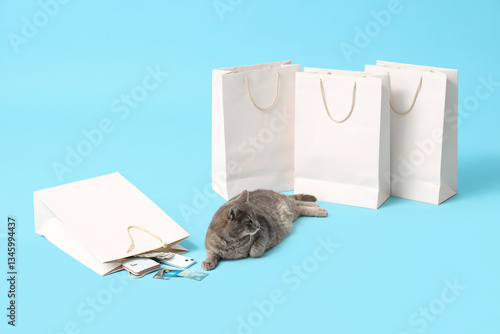 Cute cat with shopping bags...