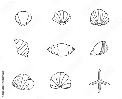 Modern illustrations of marine shells, including sea conchas from clams and oysters, are depicted as icons, incorporating kraken elements and the concept of ocean treasure, all isolated on a white