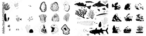 Archeological fossils, including ammonite and marine fossils, ancient reptile footprints on stone, and leaf plant prints in rock, are part of a dinosaur skeleton prehistoric digging set