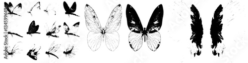 Modern cartoon fairy wings set, featuring whimsical fairytale creatures like butterfly dryad nymph elf with flying and fluttering elements on a white background