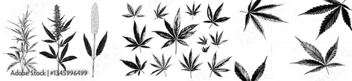 Modern hemp ink sketch set featuring cannabis, including bush, seeds, marijuana, stems, and leaves of the smoking plant