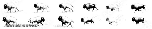 Engraving bull set, a hand drawn angry buffalo power mascot with danger horn and taurus in a dynamic pose, modern illustration