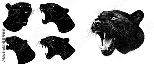 The modern set includes an isolated illustration on a white backdrop of a hunter cat, depicted as an angry panther with fangs and a grinning face, embodying a wild and aggressive leopard creature