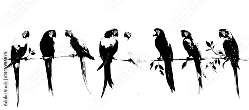 Modern tropical illustration featuring parrot, cockatoo, hummingbird, toucan, and blue macaw in bright, exotic jungle setting with fauna and animals in hot climate