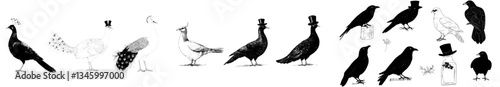 A hand-drawn sketch of birds in suits, featuring wild feathered animals such as pigeons and crows, dressed in retro clothing and hats, as part of a modern illustration set