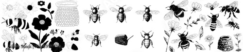 honey engraving set’ features a ‘jar honeycomb hive bee flower spoon’ symbolizing healthy food and the sweet insect that produces pollen through natural beekeeping at an apiary farm in a drawing
