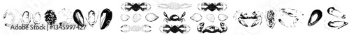 The seafood watercolor set comprises oyster, mussel, shrimp, red fish, black caviar, crab, lobster, squid, and sea urchin, all of which are considered delicacies in the world of food and cooking,