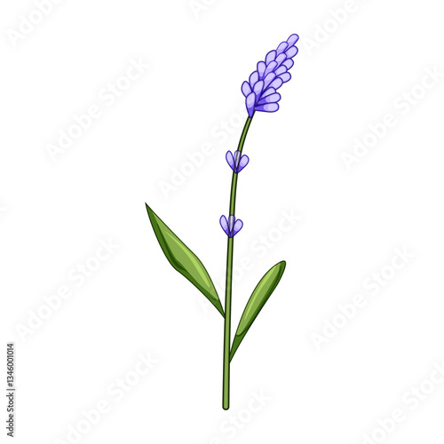 rainbow lavender cartoon vector illustration