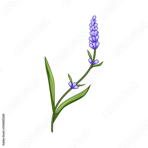 ireland lavender cartoon vector illustration